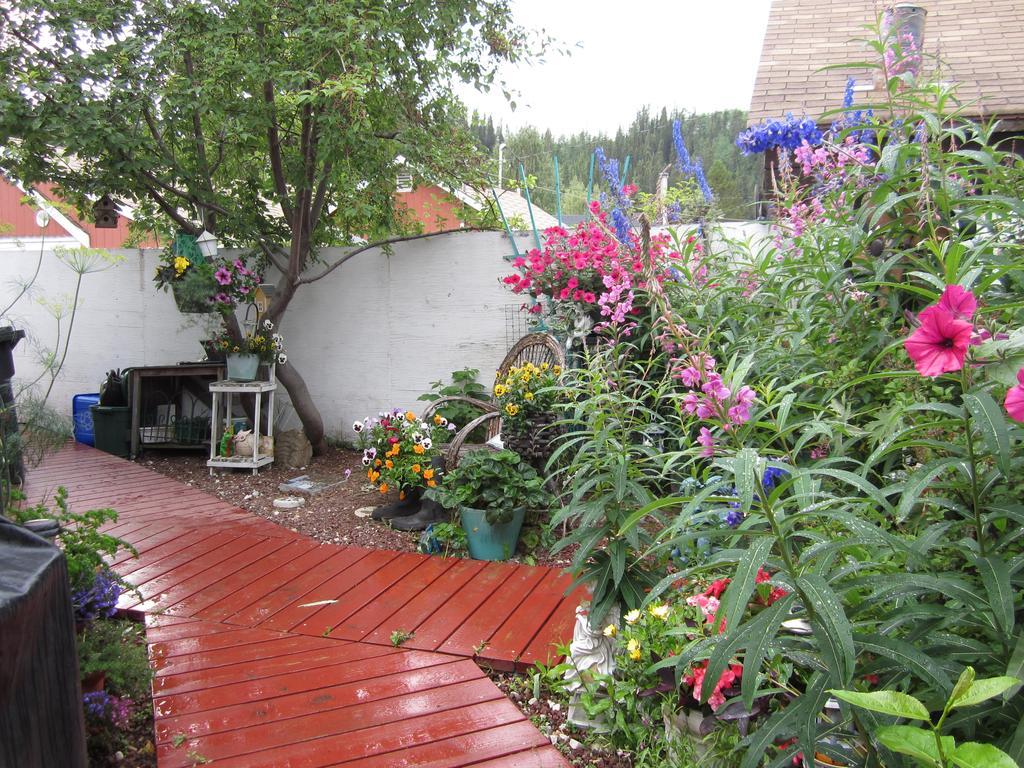 Casey'S Bed & Breakfast Whitehorse Room photo